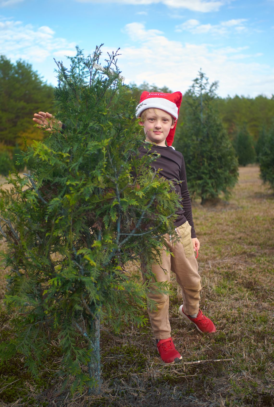 Tree Hunting & Happy Birthday